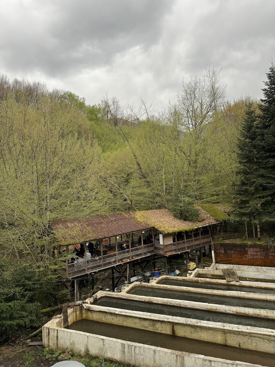 Can Alabalık — fotoğraf 8