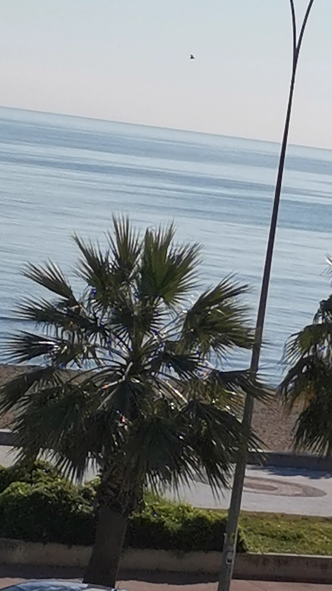 CAN GROUP BUTİK HOTEL ATAKUM — photo 3