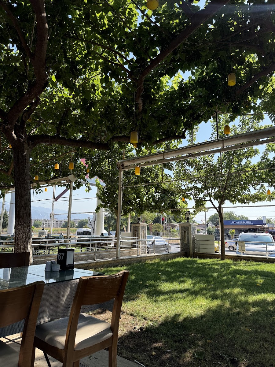 Can Pide Çine Yolu — fotoğraf 5
