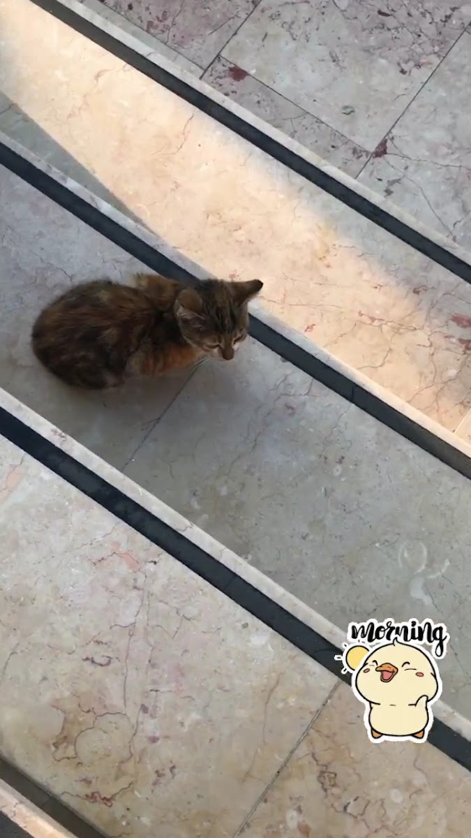 Çanakkale Gizem Pansiyon — fotoğraf 3