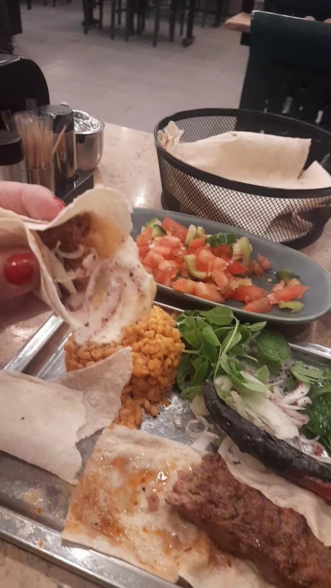 Canciger — fotoğraf 4