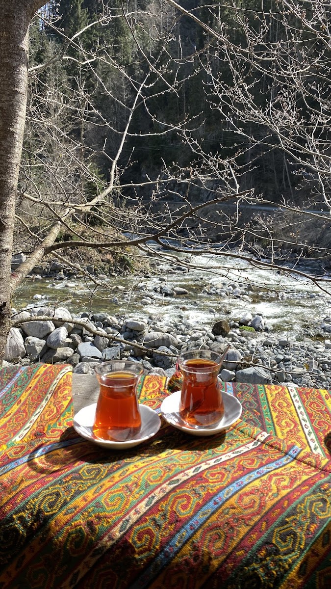 Cancik Dağ Evleri — fotoğraf 2