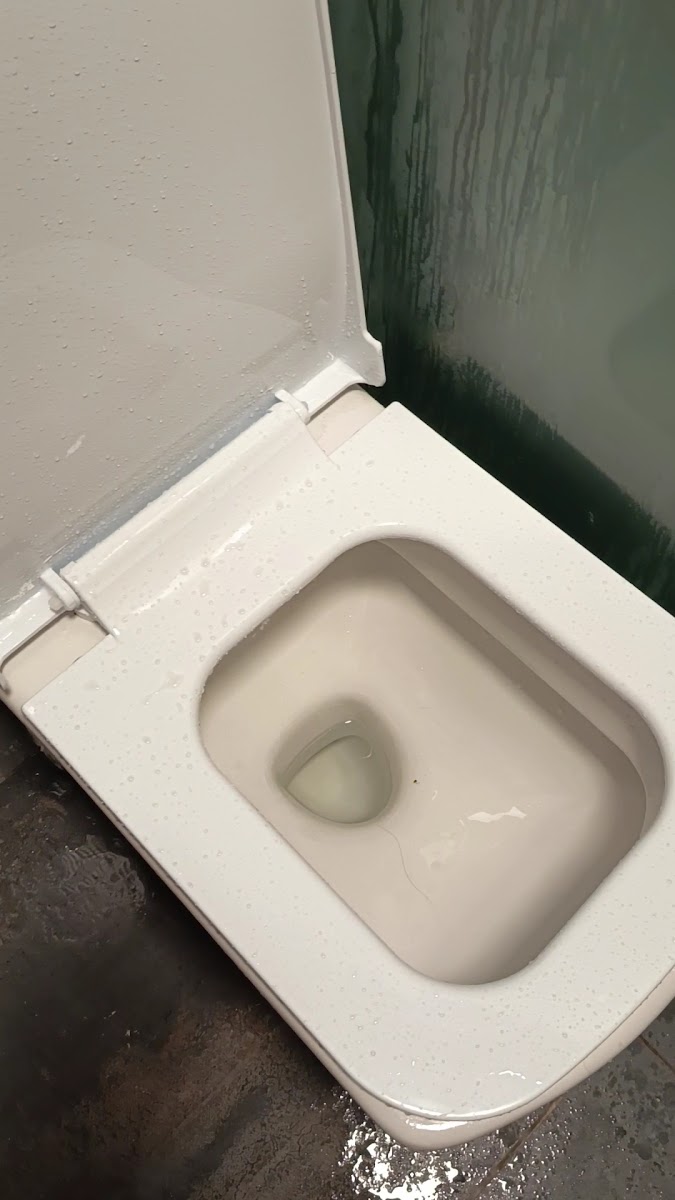 Çankaya Suit Hotel — fotoğraf 3