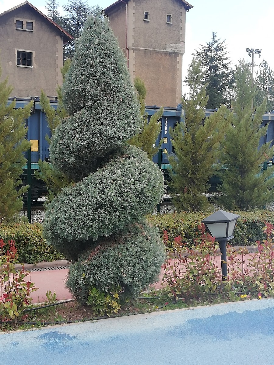 Çankırı Dr.Devlet Bahçeli Parkı TCDD Açık Hava Müzesi — fotoğraf 2