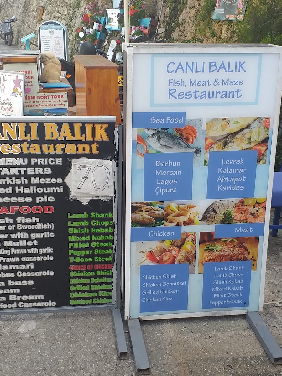 Canlı Balık Restaurant & Wine and Dine — photo 4