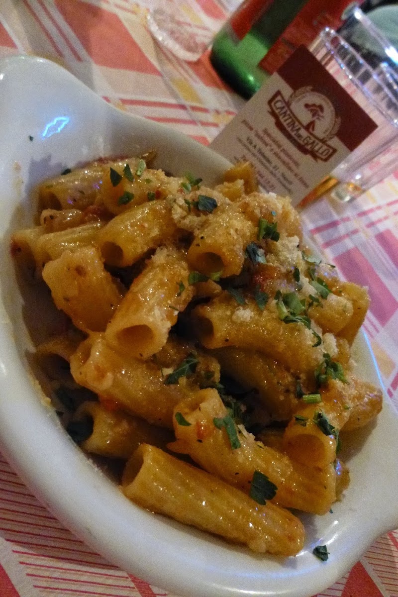 Cantina del Gallo — photo 11