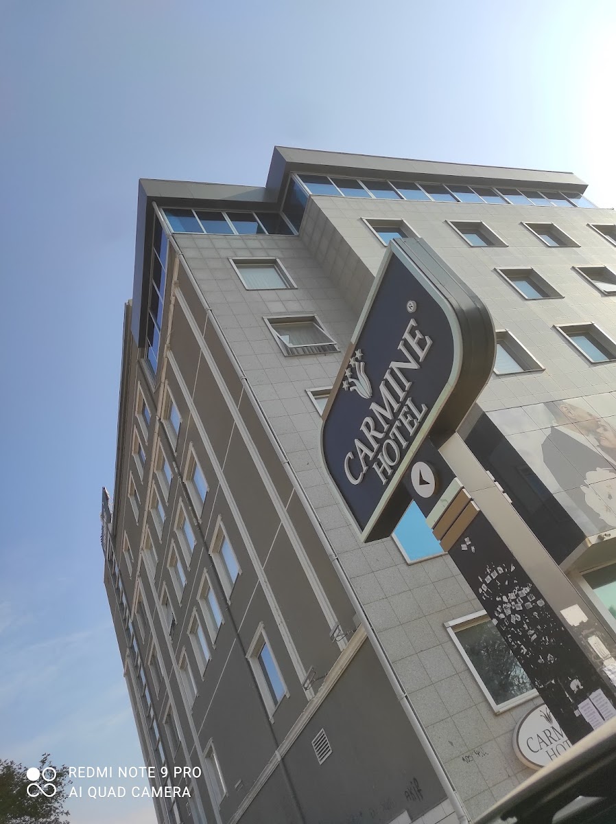 Carmine Hotel — fotoğraf 4