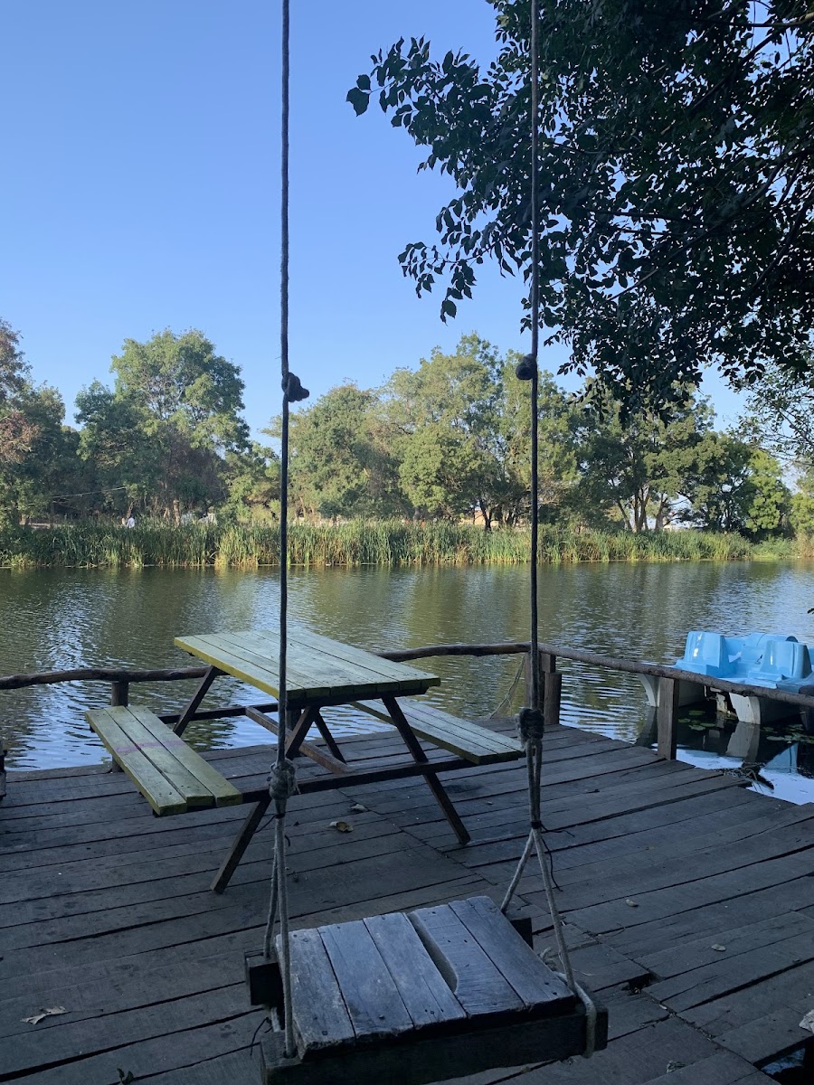carpediem camping — fotoğraf 5
