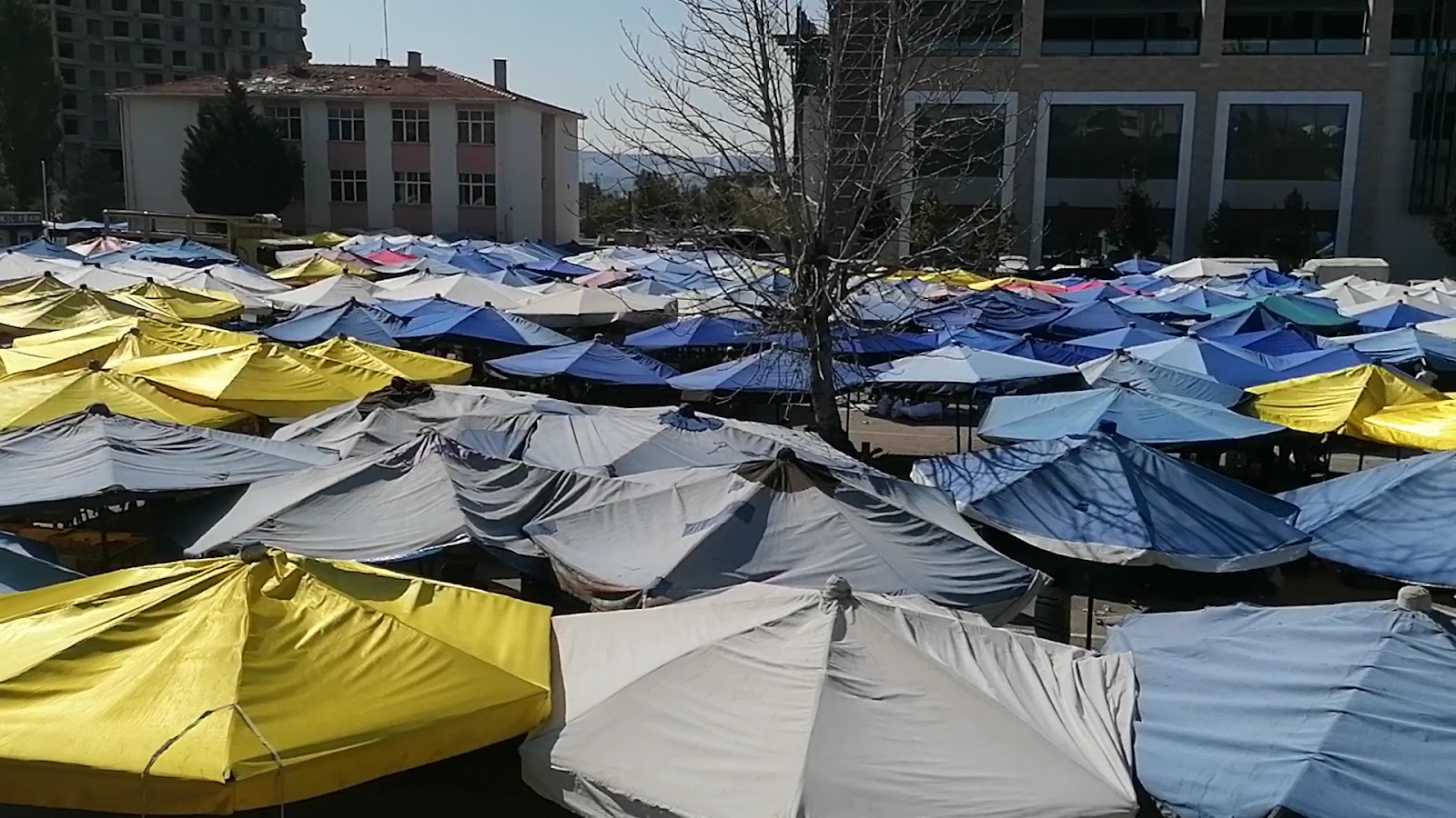Çarşamba Pazar Yeri — fotoğraf 3