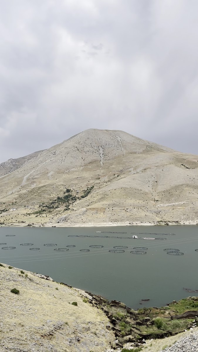 Çat Barajı — fotoğraf 3