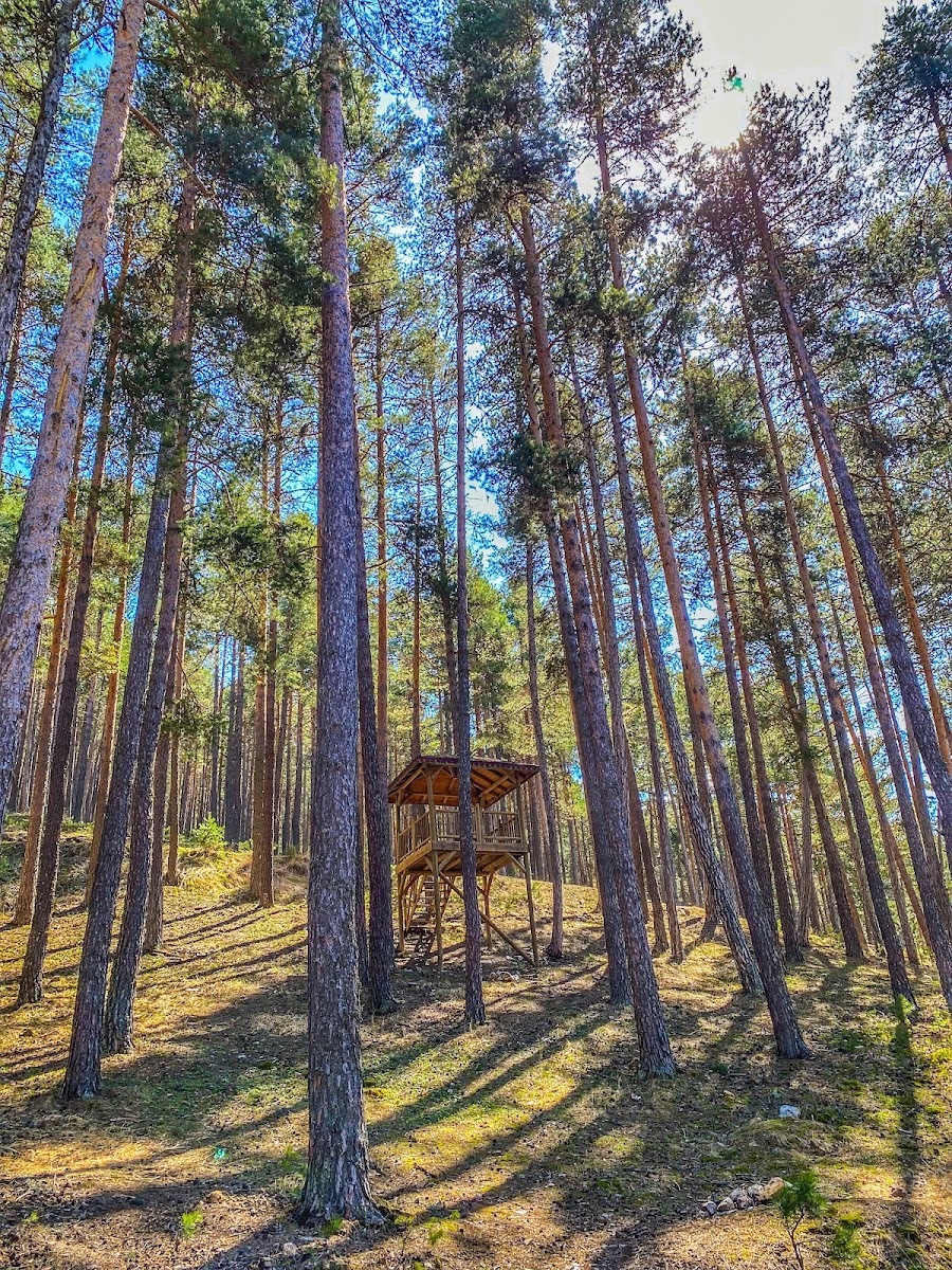 Çatacık Orman İşletme Mesire Alanı — fotoğraf