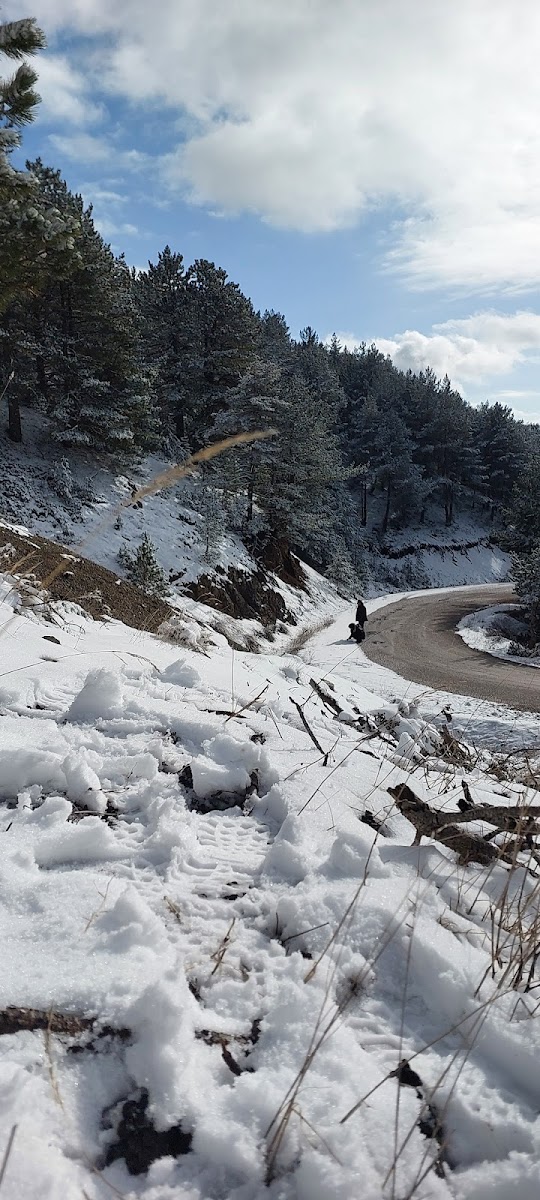 Çatak Tabiat Parkı Mesire Yeri — fotoğraf 2