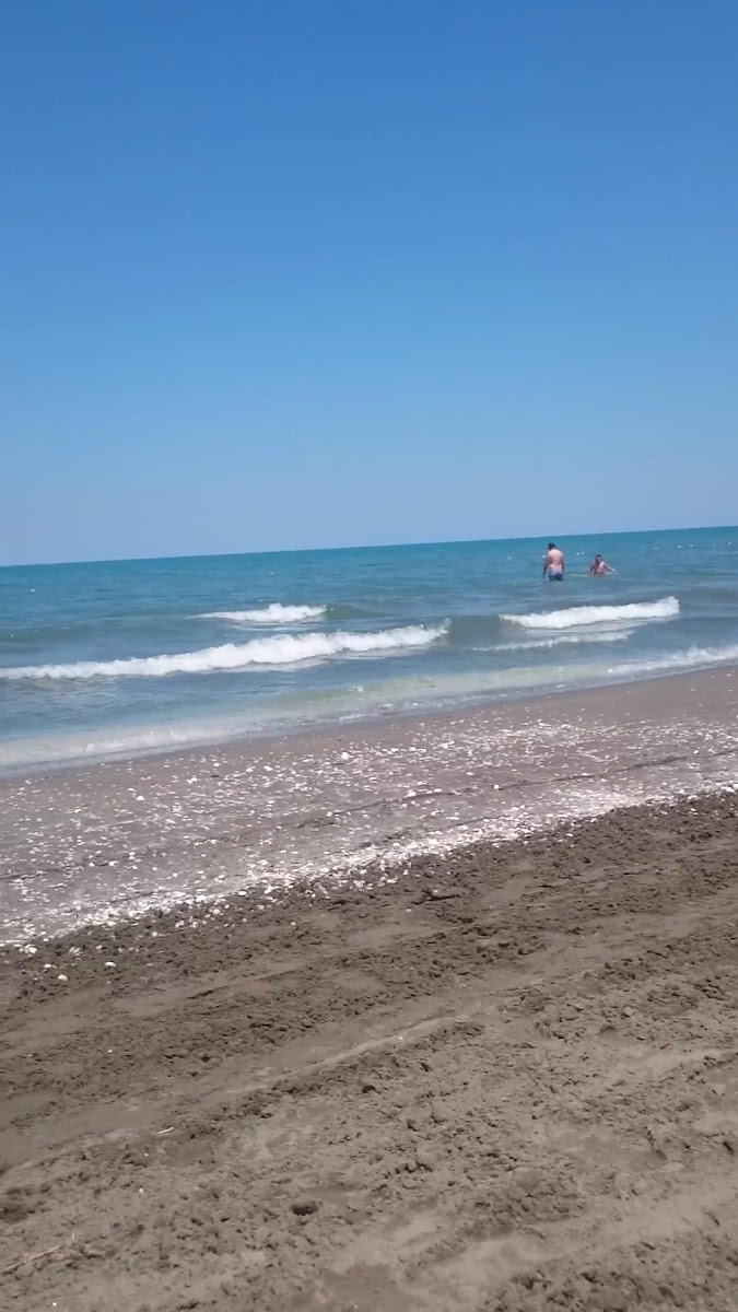 Çatalcam Plajı — photo 2