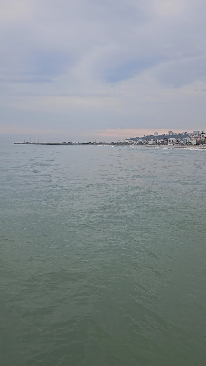 Çatalcam Plajı — photo 3