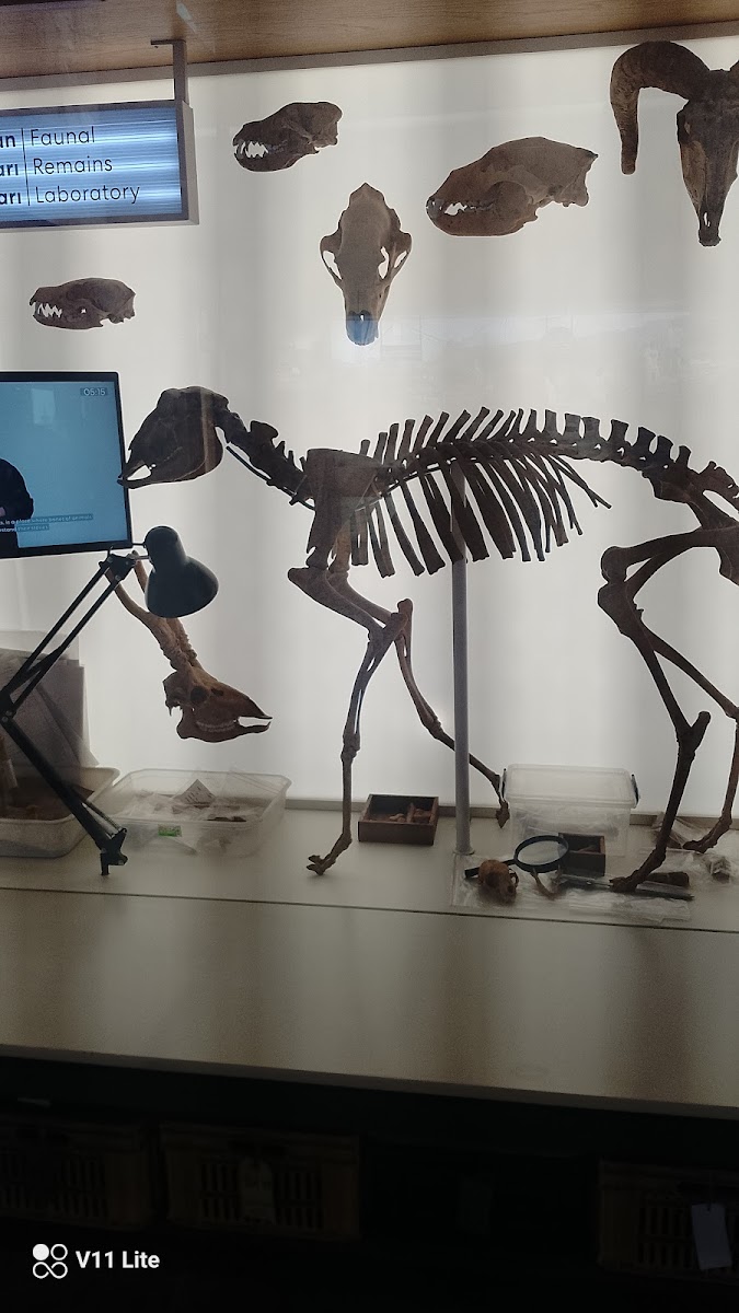 Çatalhöyük Örenyeri — fotoğraf 2