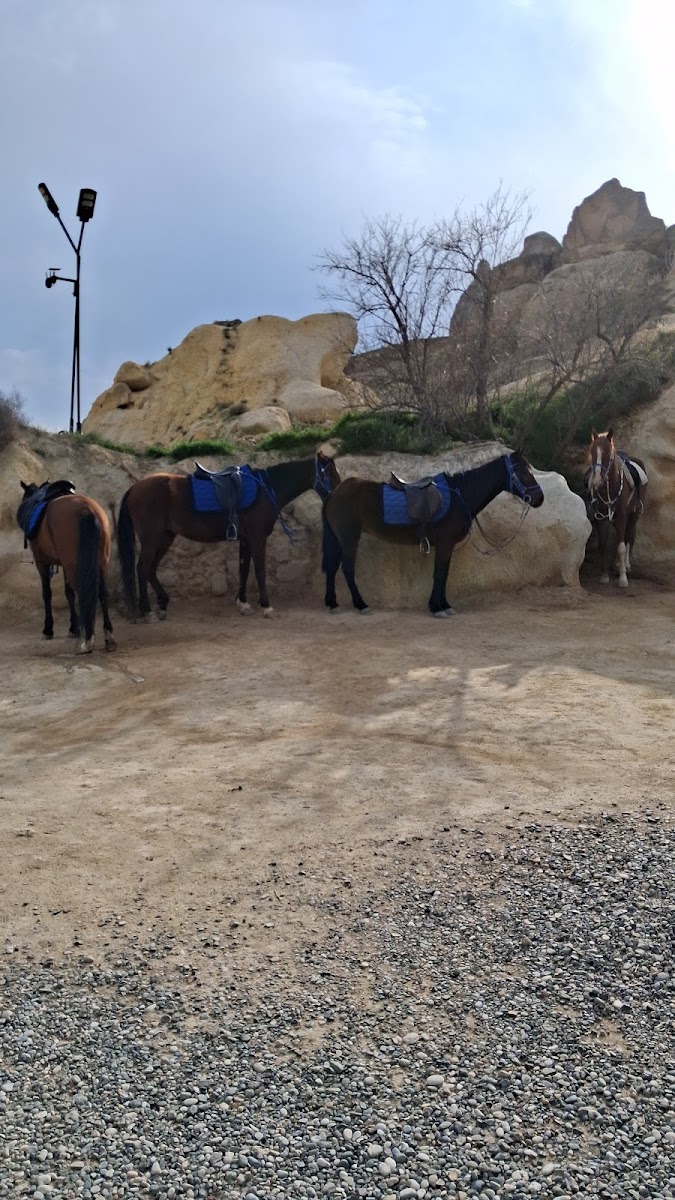 Çavuşin Doğa Binicilik Merkezi — fotoğraf 2