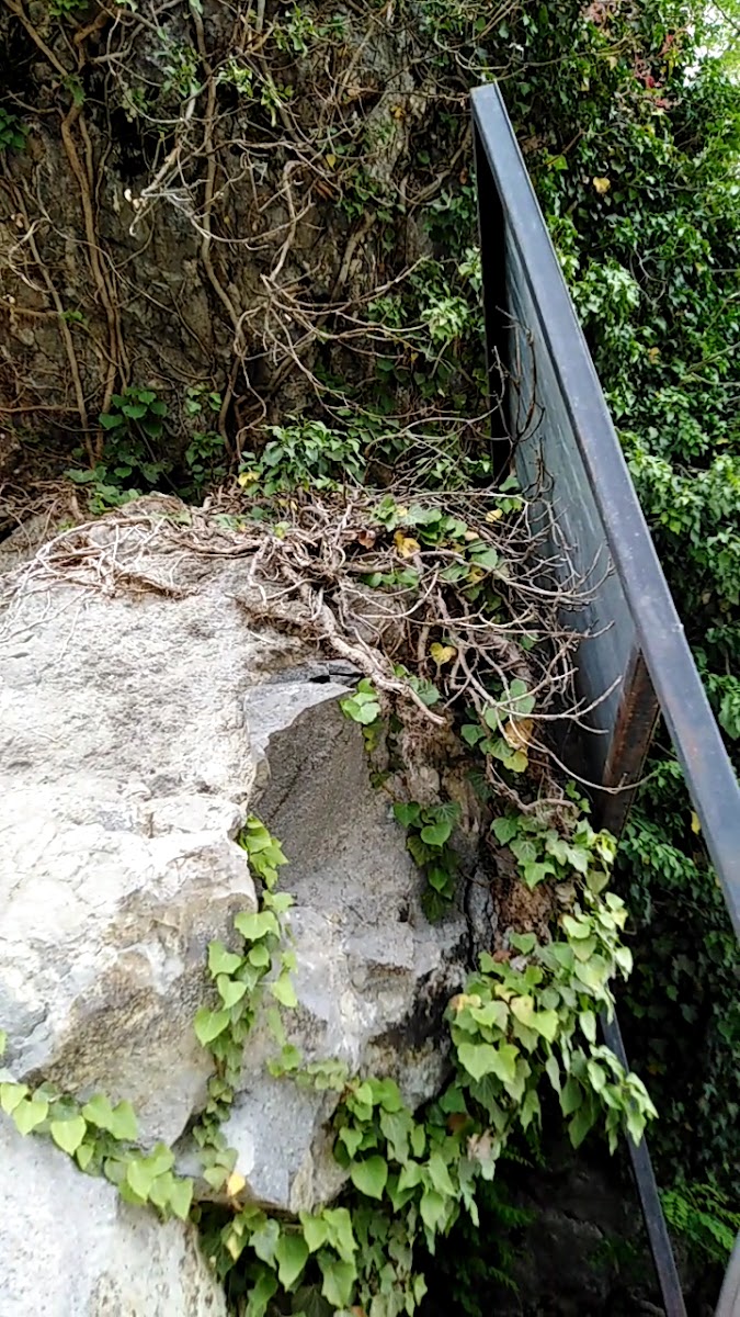 Çavuşlar şelalesi — fotoğraf 3