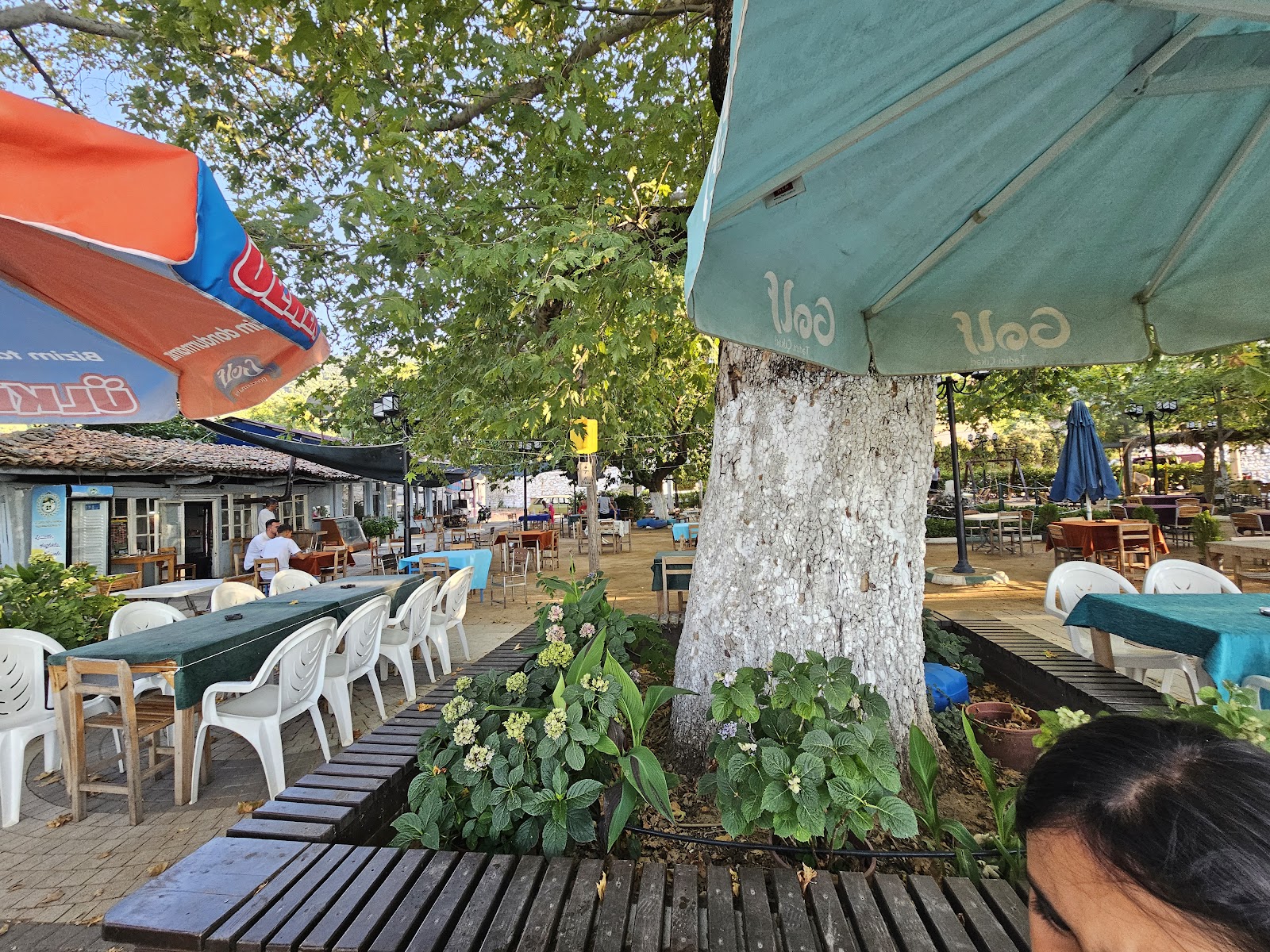 Çay bahçeleri — photo 4