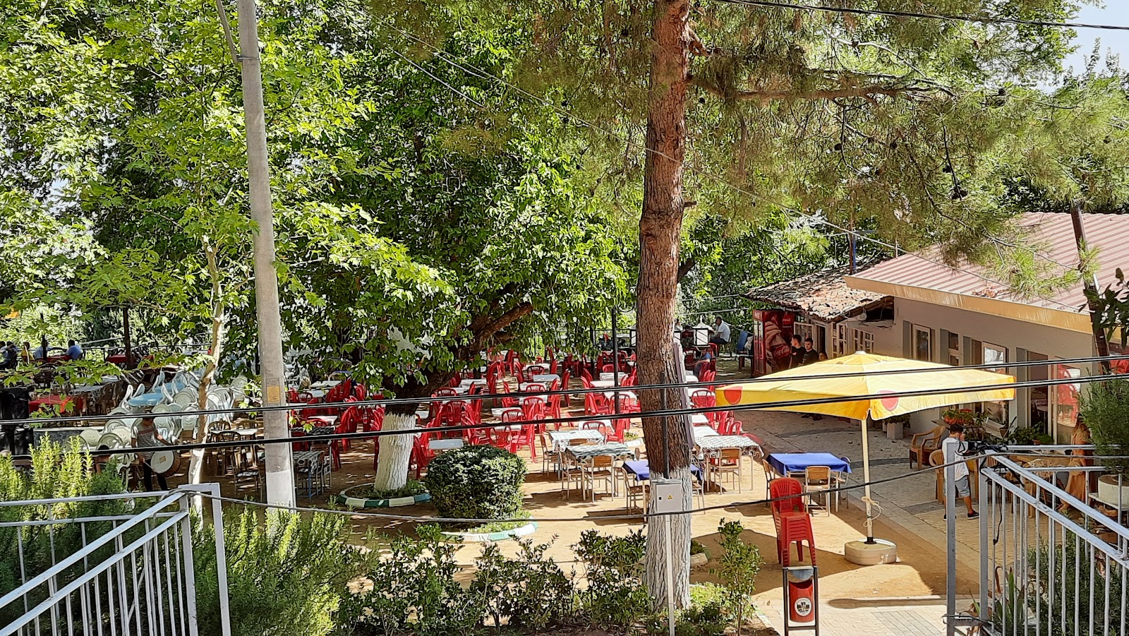 Çay bahçeleri — photo 5