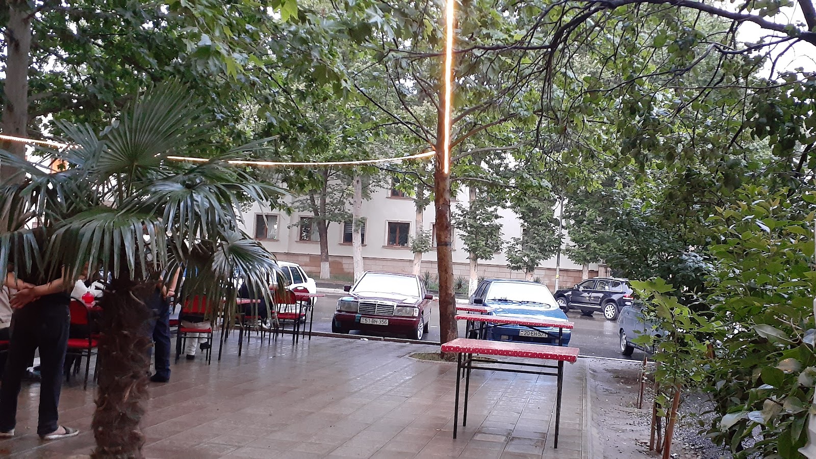 Çayçı FƏRƏMƏZ — photo 3