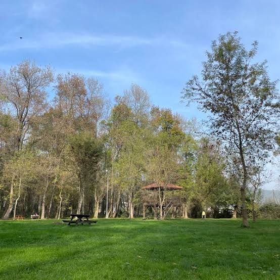 Çaycuma Kent Ormanı — fotoğraf