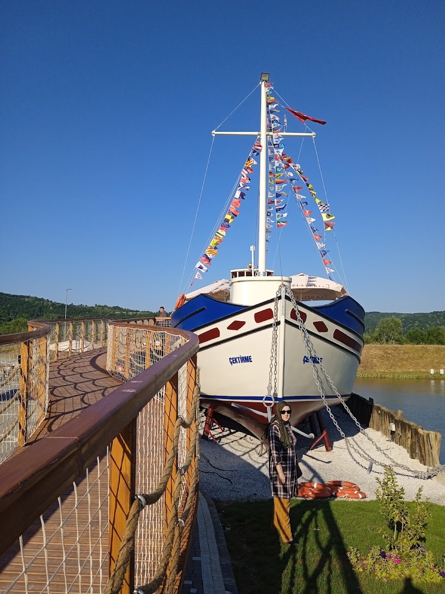 Çaycuma Kent Ormanı — fotoğraf 2