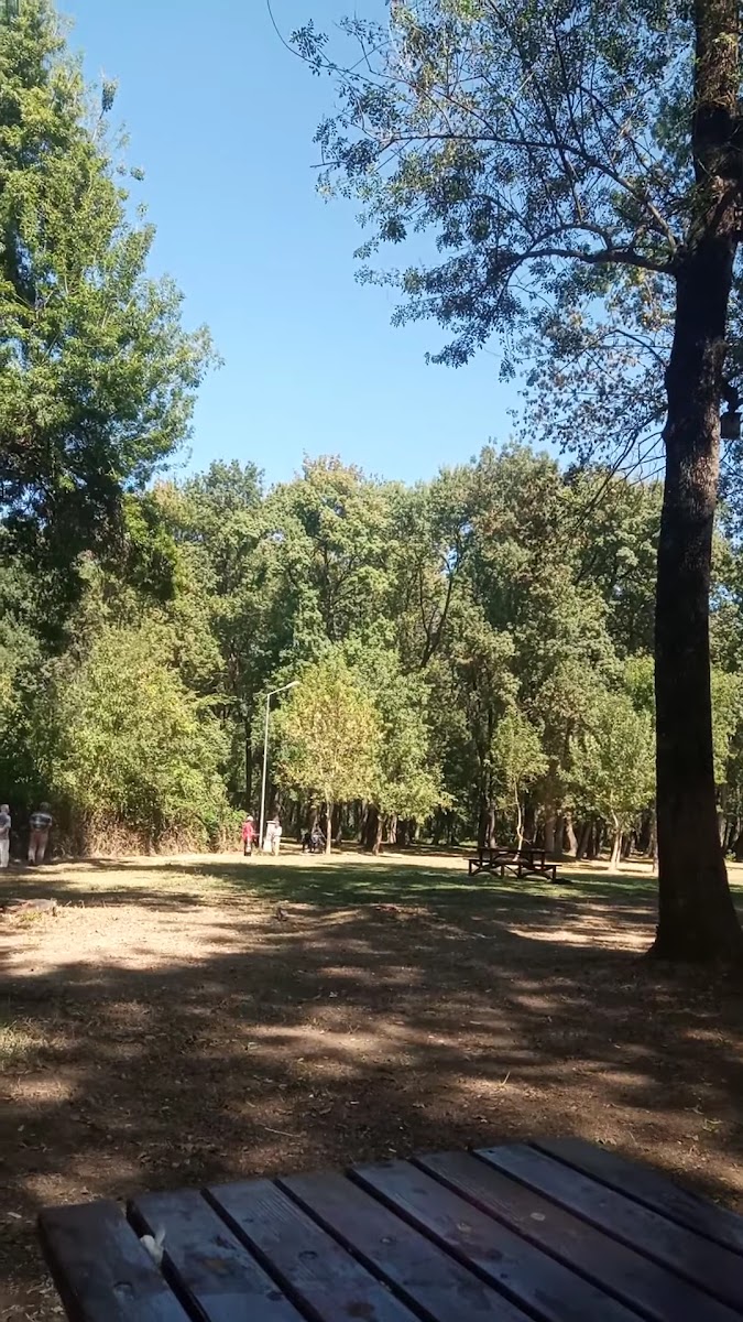 Çaycuma Kent Ormanı — fotoğraf 3