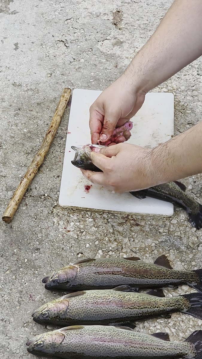 Çayır Alablık Restaurant — fotoğraf 3