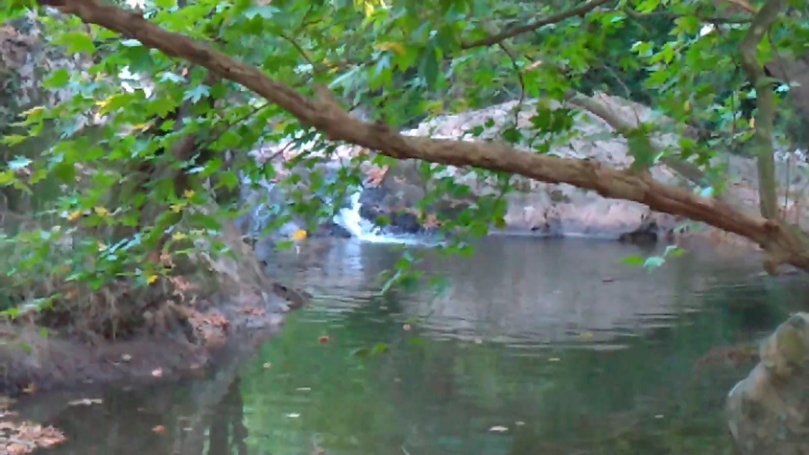 Çaylak Mesire Yeri — fotoğraf 2