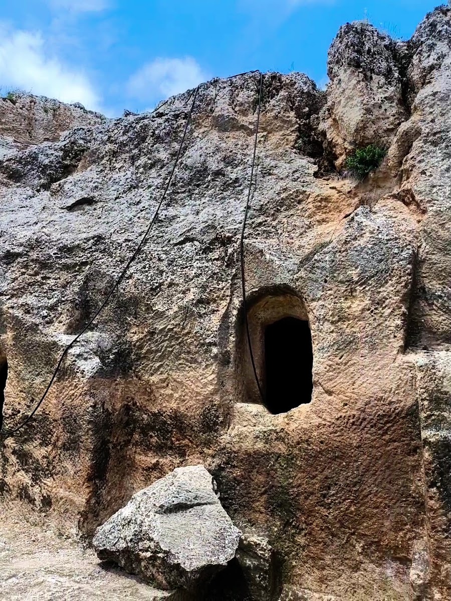 Çayönü Neolitik Yerleşke — photo 3