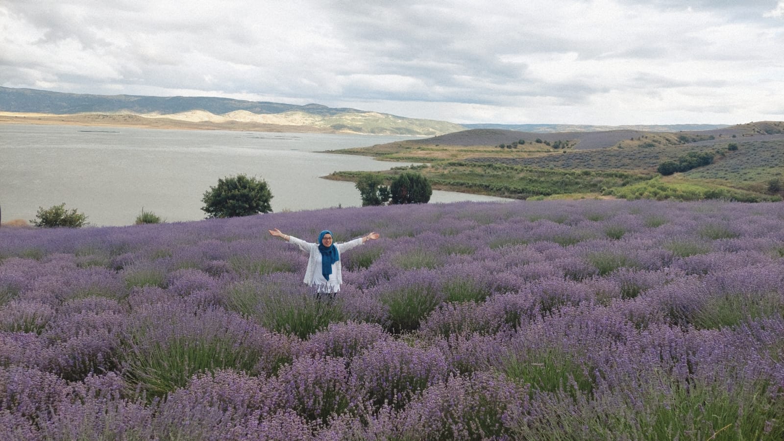 Çekerek Lavanta Adası — fotoğraf