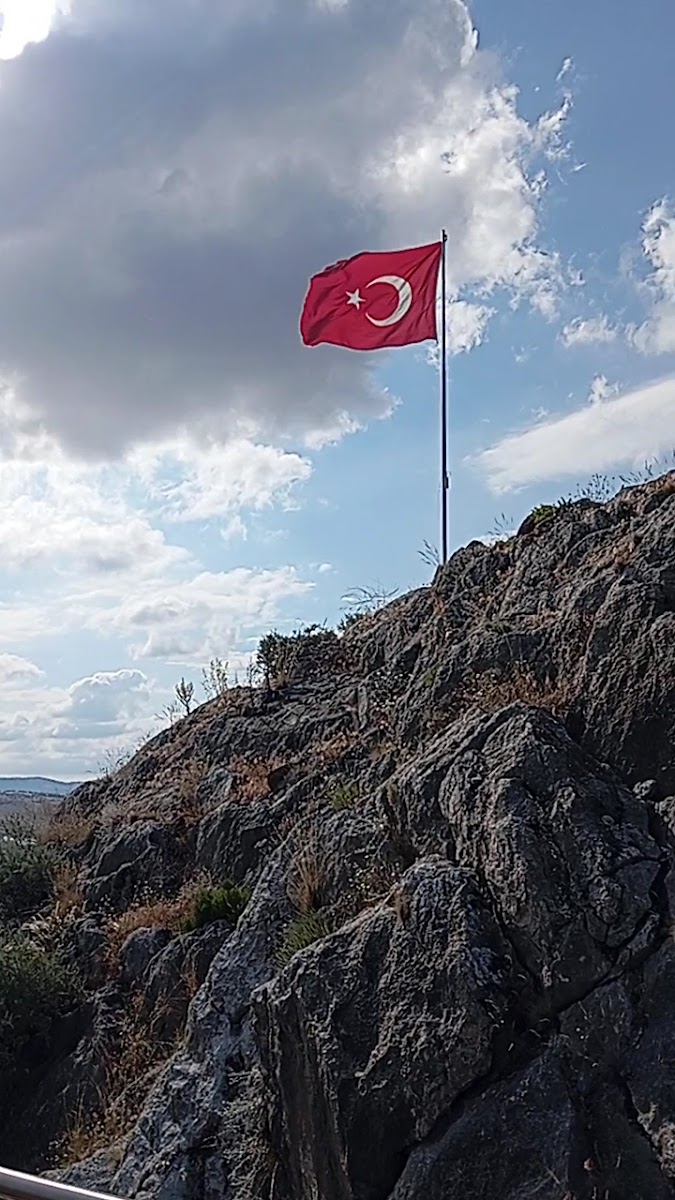Çekerek Millet Bahçesi — fotoğraf 2