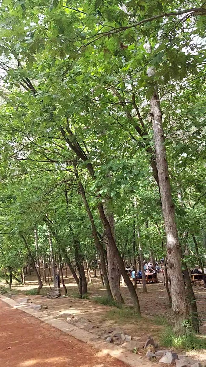 Çekmeköy Doğa Parkı — fotoğraf 3