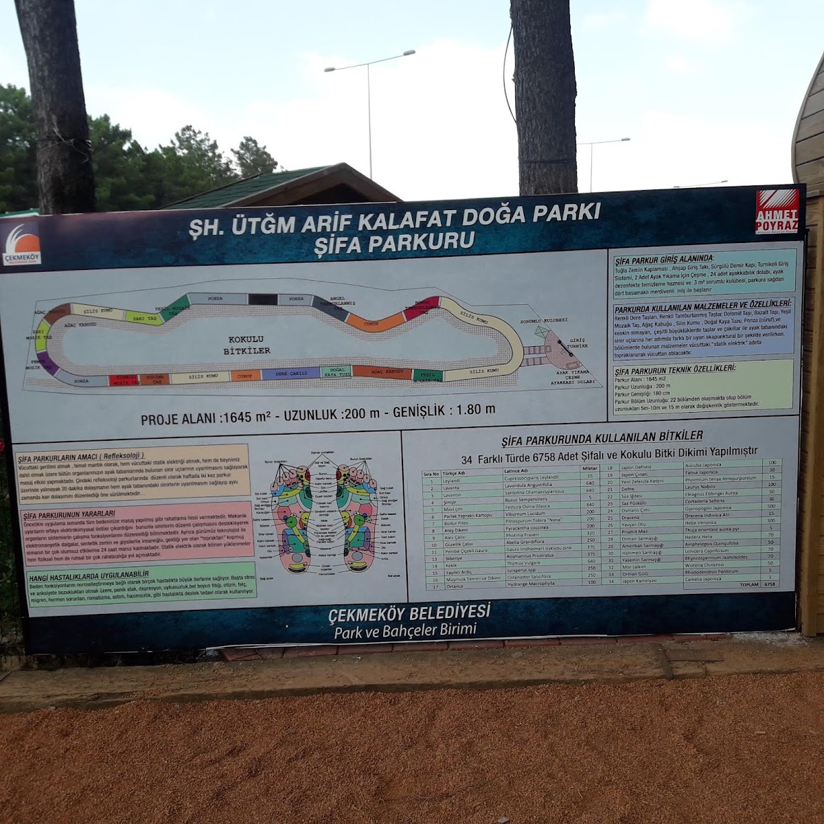 Çekmeköy Doğa Parkı — fotoğraf 4