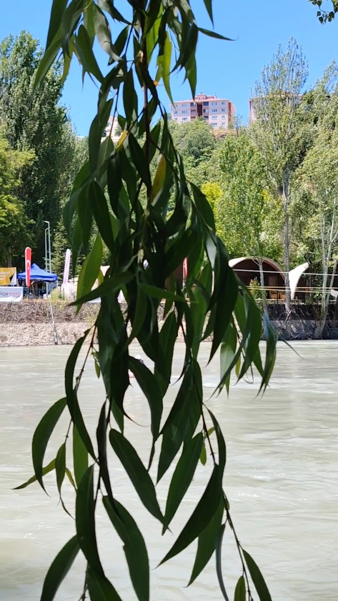 Celal Doğan Restaurant — fotoğraf 2