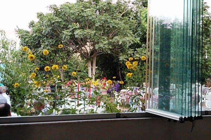 Çelik Çay Bahçesi — photo 3