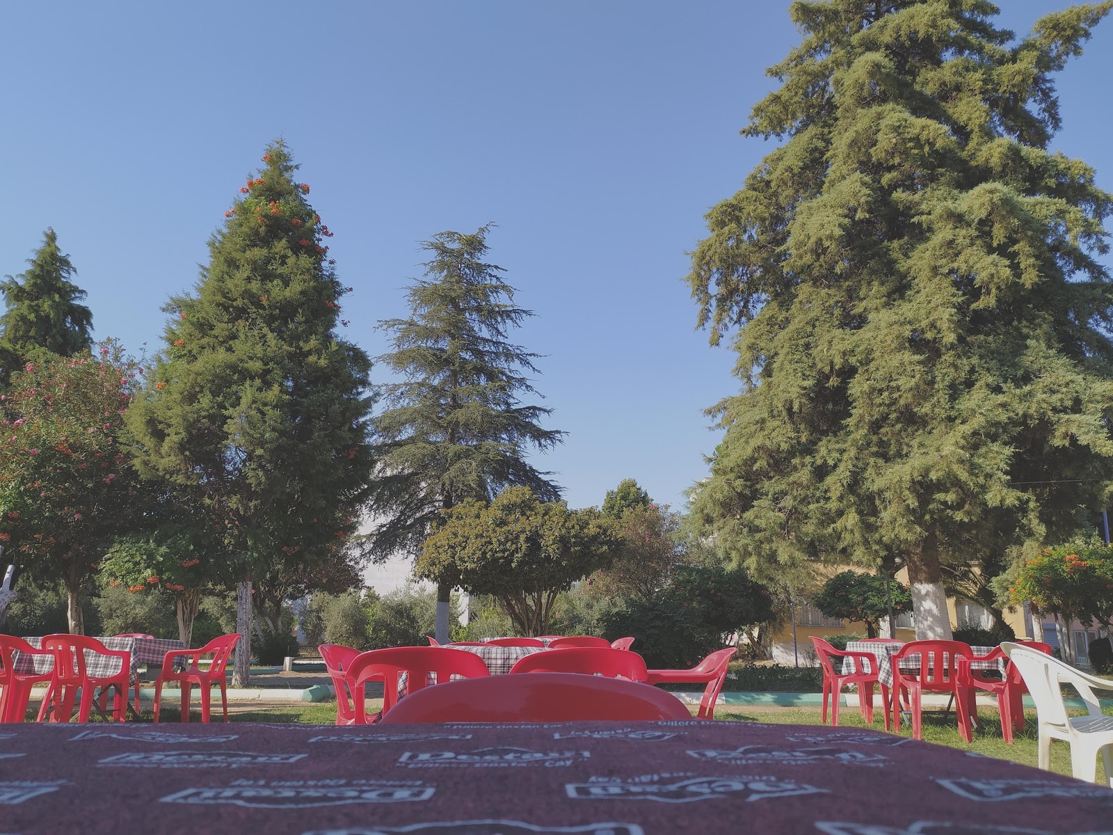 Çelik Çay Bahçesi — photo 5