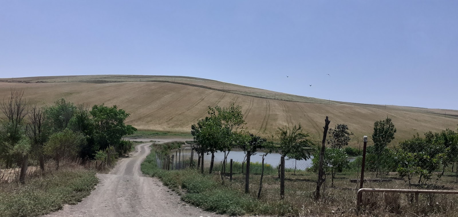 Celilabad — photo
