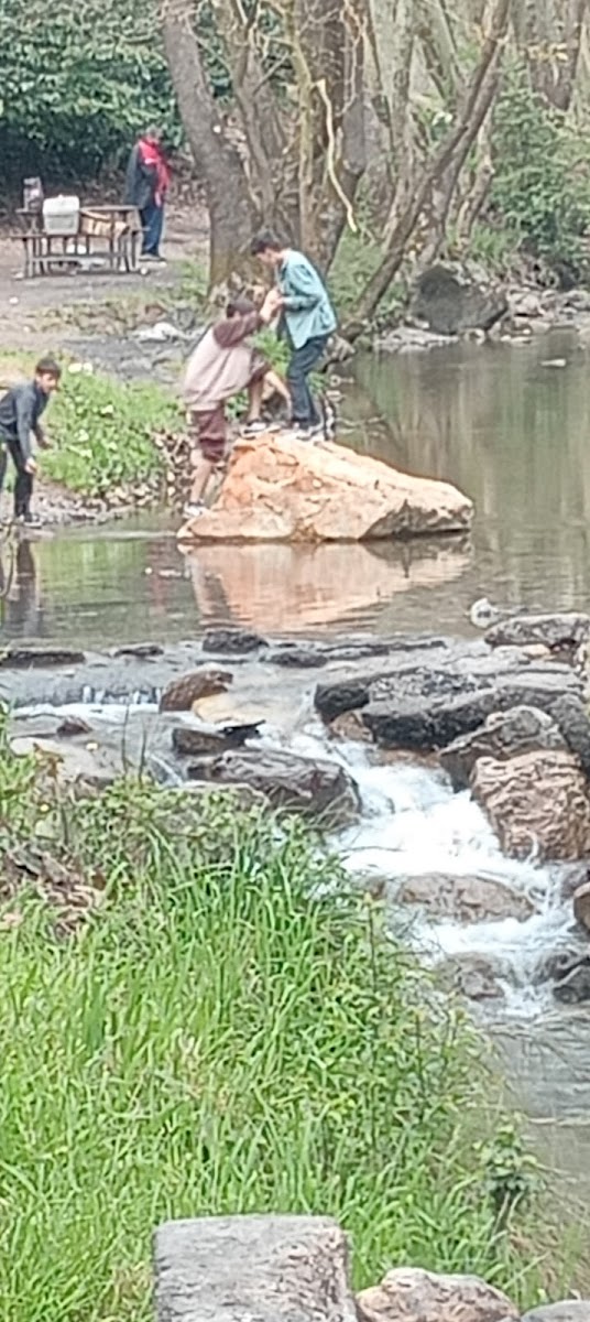 Çenedere Mesire Alanı — fotoğraf 2