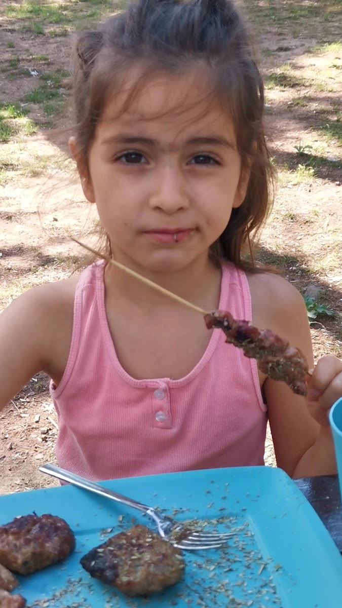 Çenedere Mesire Alanı — fotoğraf 3