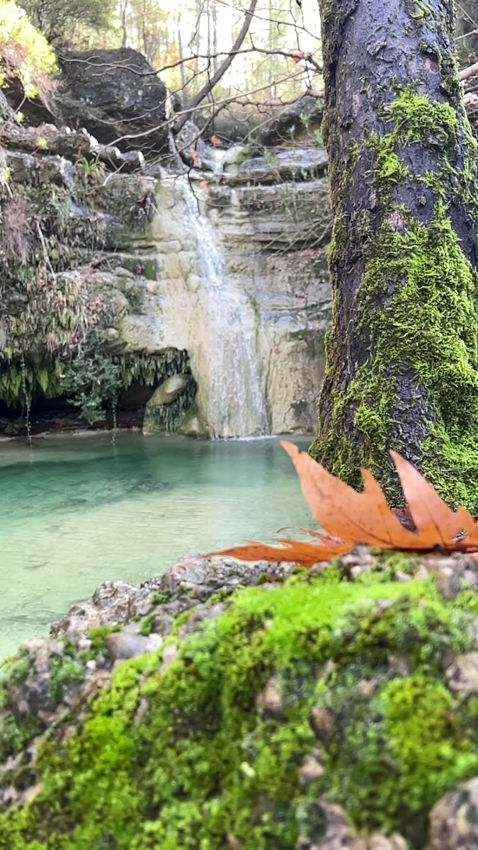 Cennet Şelalesi — fotoğraf 2