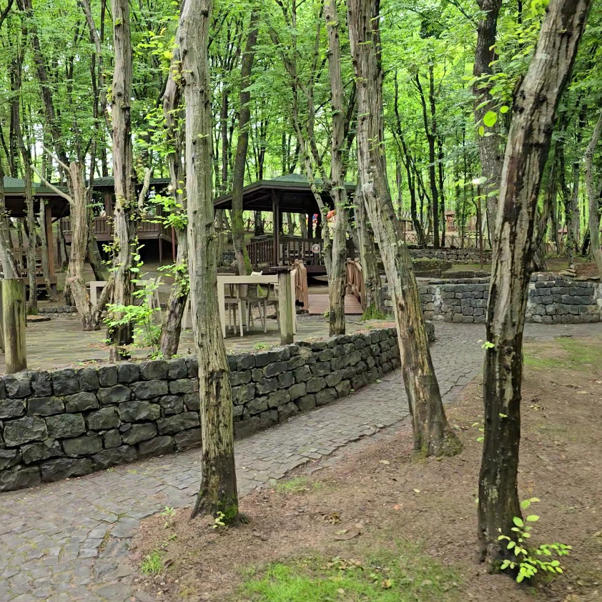 Çerkezler Tepesi Bungalov Otel ve Restoran — fotoğraf 3