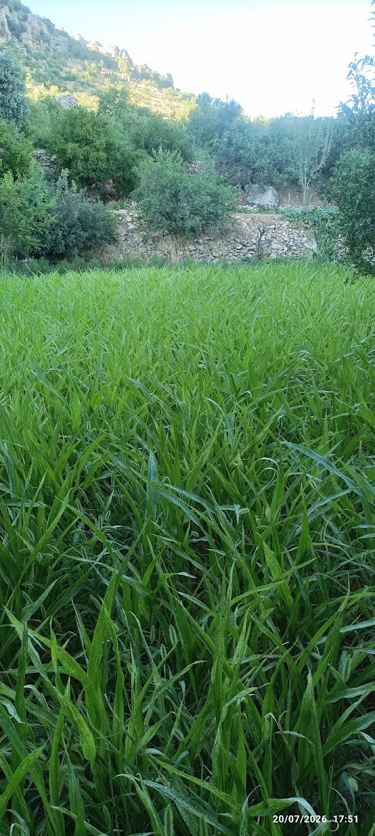 Çermik Gelincik Dağı — photo 2
