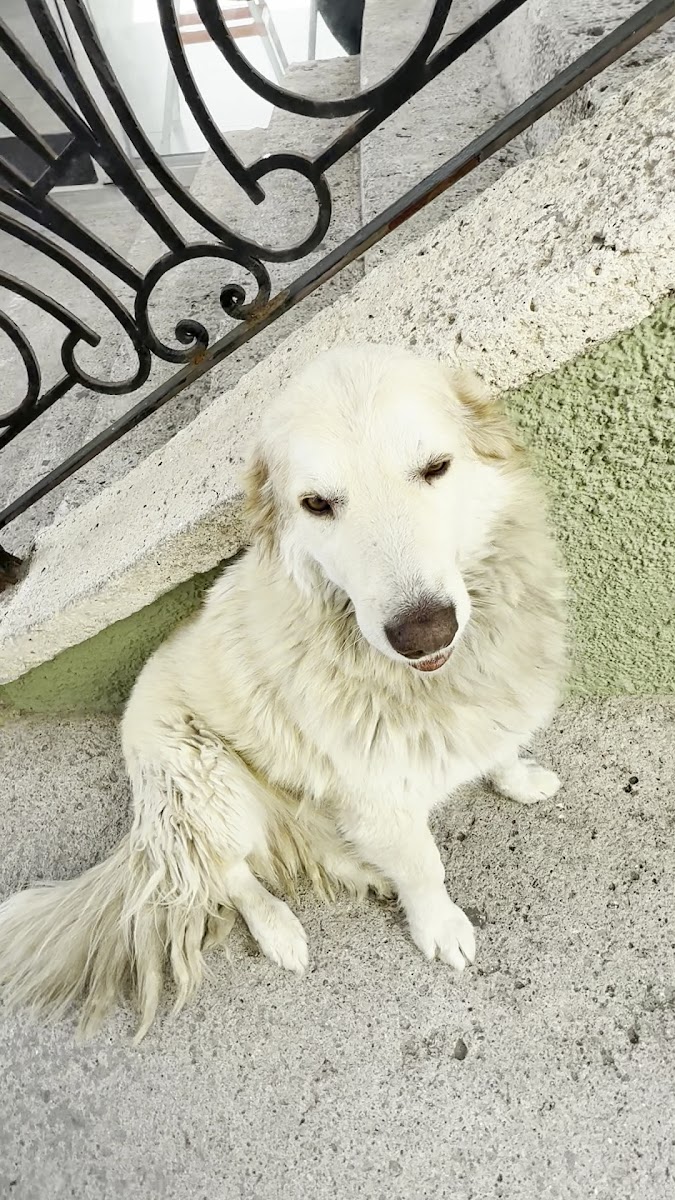 Çeşme Kalesi — fotoğraf 2