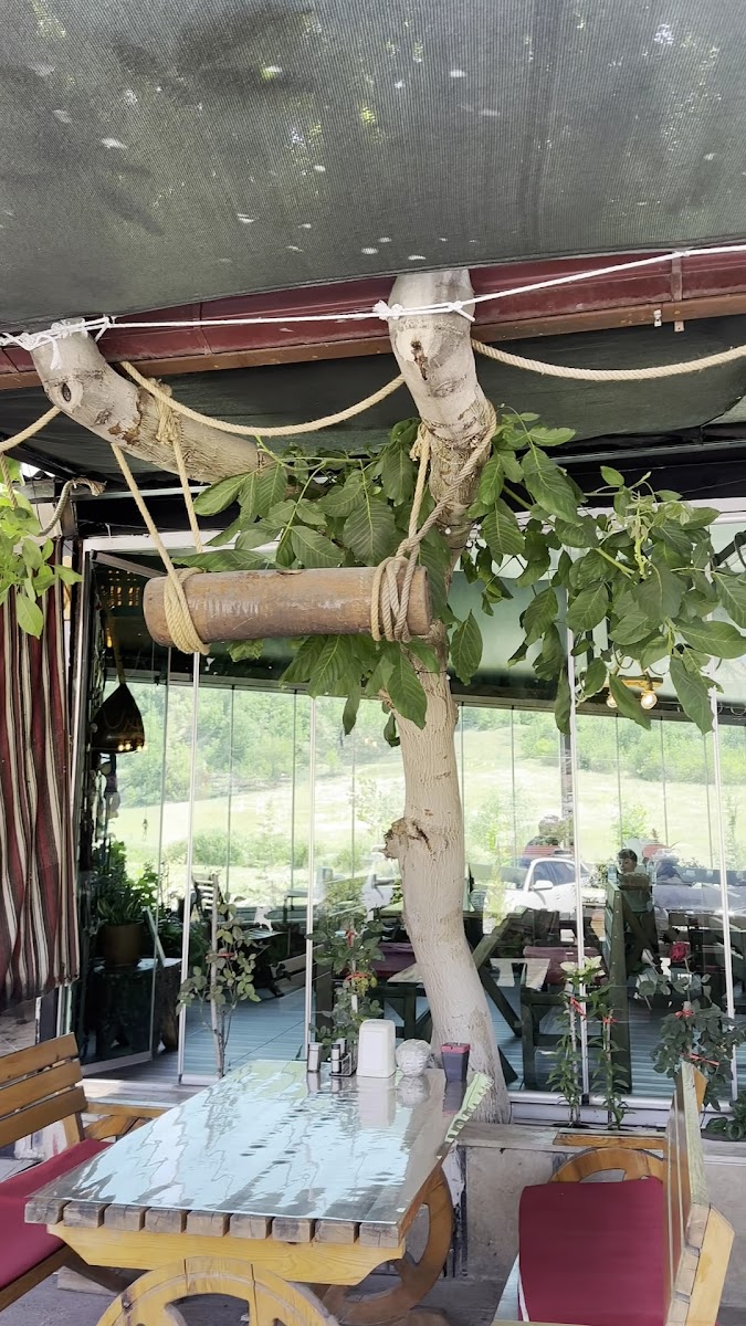 Ceviz Altı Cafe&Restorant — fotoğraf 3
