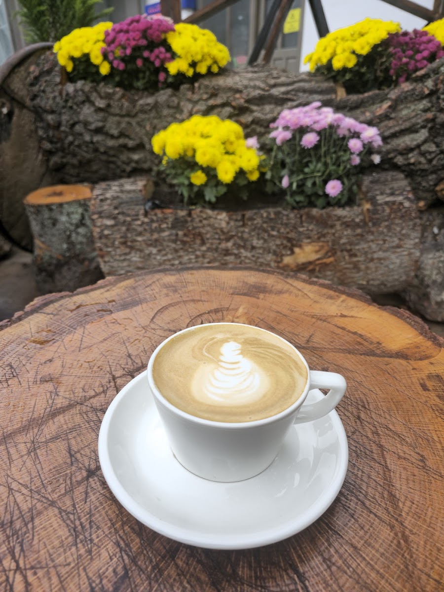 Ceviz Altı Cafe&Restorant — fotoğraf 7