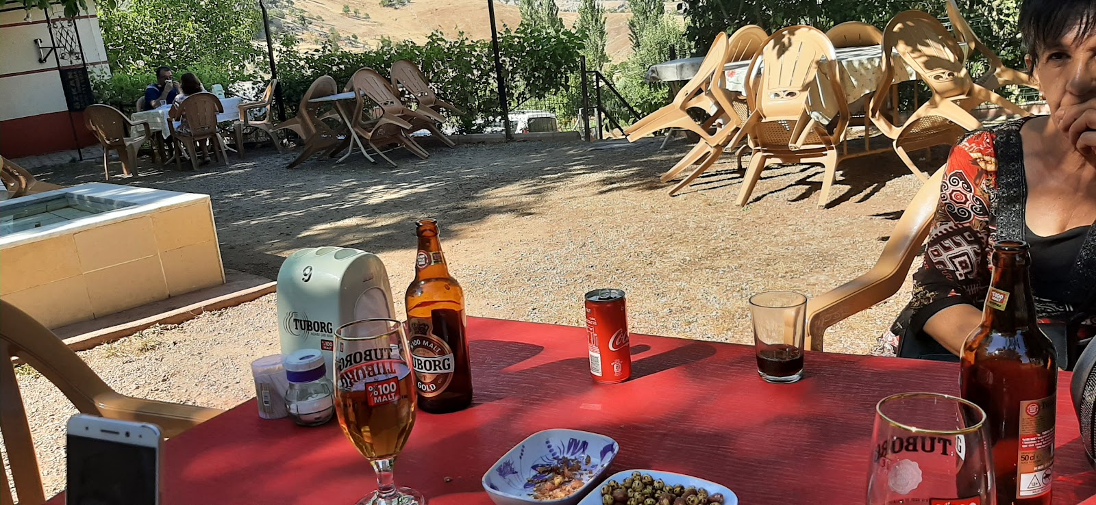 Cevizdibi Restoran — photo 2