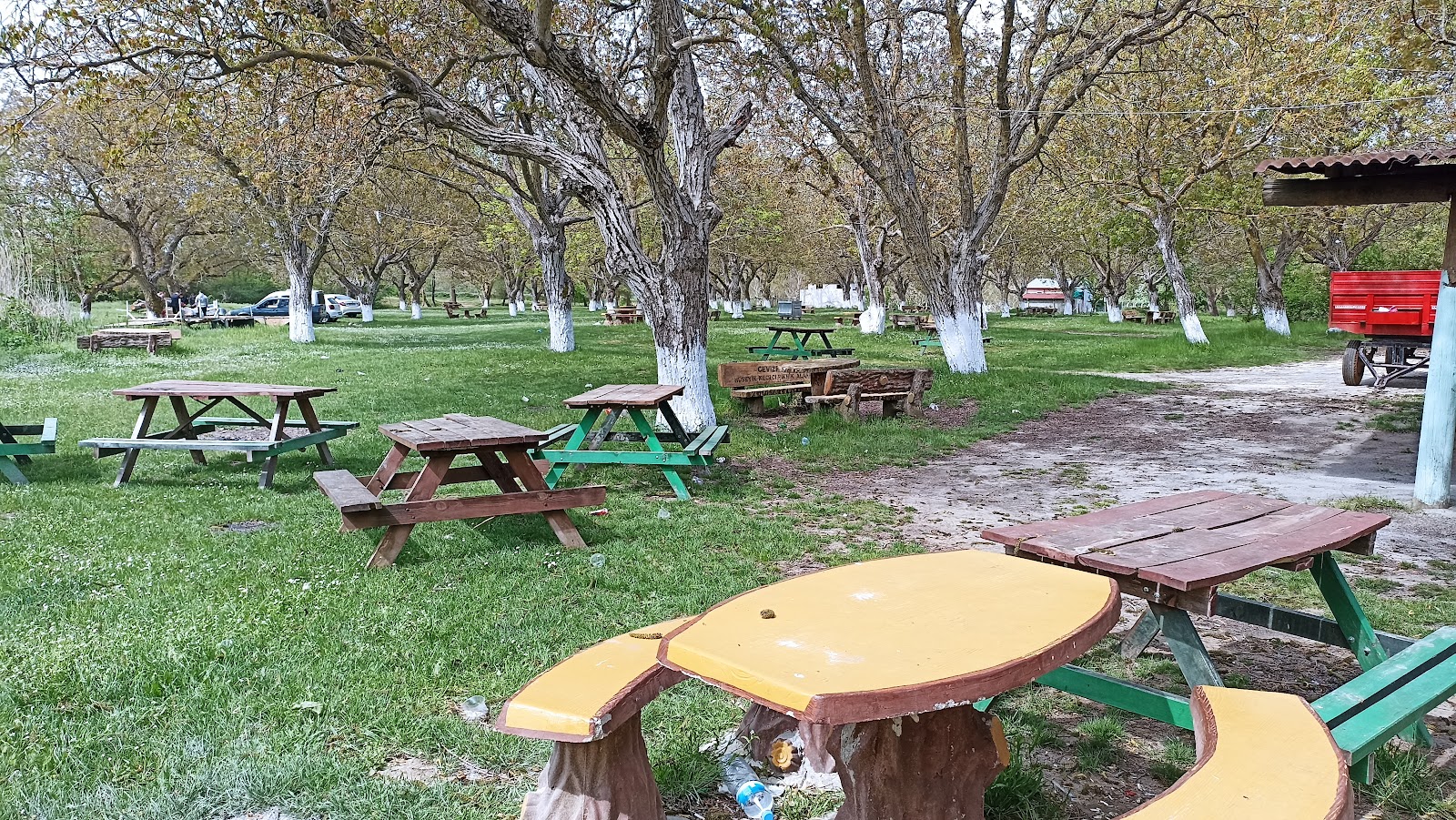Cevizköy Piknik Alanı — fotoğraf