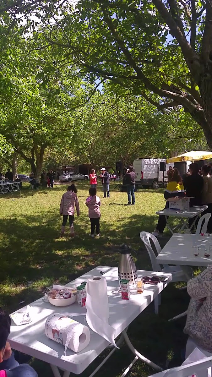 Cevizköy Piknik Alanı — fotoğraf 4