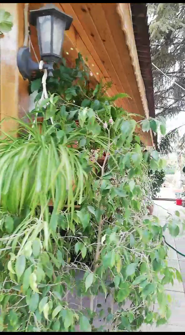 Cevizli Bahçe Restaurant — photo 9